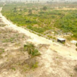 land for sale - Spring Haven Estate Plots at Ibeju Lekki